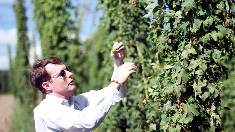 Illustration for article titled Drinking Experimental Hops in the Sixpoint Beer of the Future